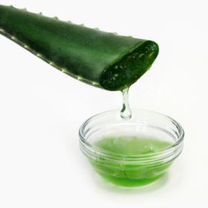 Global Aloe Vera Extracts Market