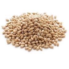Global Barley Products Market