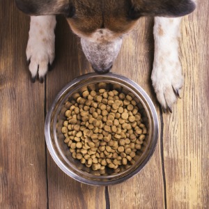 Global Customized Premixe Market