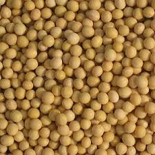 Global Food Grade Pea Fiber Market