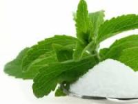 Global Stevioside Market Research, Revenue Analysis & Growth Trends&nbsp;2025