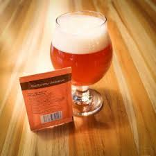 Global Yeast & Specialty Yeast Market